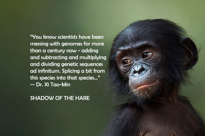 Bonobo male baby 'Ombwe' aged 1 year portrait